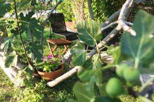 Studio Point of view