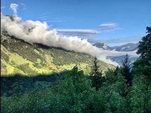 Chalets Chalet SACHE - Sainte foy tarentaise : photos des chambres