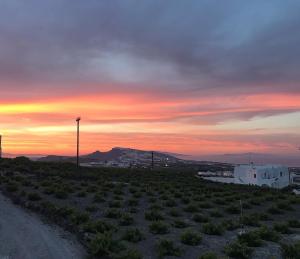 Ampelos Executive Houses