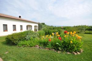 Agriturismo Mulinu Betzu