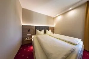 茨尔施米德酒店 - 诺伊基兴