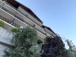 The foxs family home - Veysonnaz