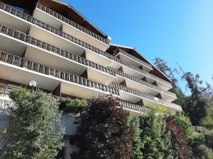 The foxs family home - Veysonnaz