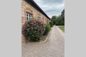 Appartements LE MOULIN DE GRESSWILLER : Appartement 2 Chambres