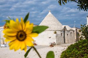 Masseria Mezza Ruota