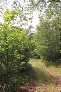 Charmig hallandslänga nära Ullared