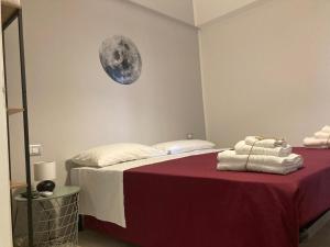 Gatto Bianco Picone 19