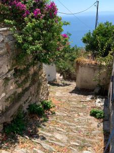 The Music House villa with pool