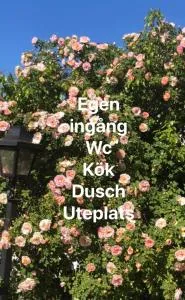 Villa Verdi - Borgholm