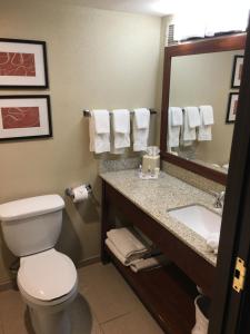 One-Bedroom King Suite room in Comfort Suites Near Potomac Mills