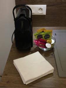 Chabot de Saint Maurice Meublé de Tourisme 3***