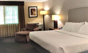 King Room - Mobility Accessible  room in Best Western Springfield Hotel