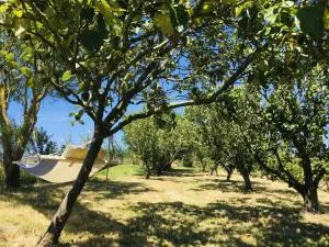 Gîtes pour grand groupe 18 personnes à 15 mins du Puy du Fou - Le Temple