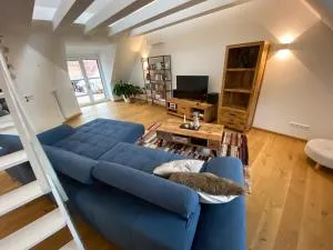 modernes Penthouse, nahe Würzburg - 艾贝尔斯塔特