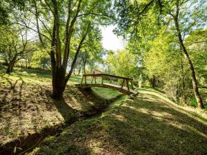 Maisons de vacances Cozy Mansion in Brandonnet with Swimming Pool : photos des chambres