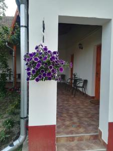 Négy Tücsök Vendégház