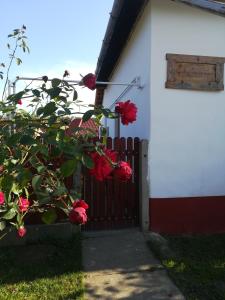 Négy Tücsök Vendégház