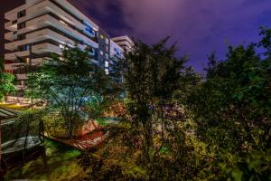 Dragonfly Studio with GARDEN