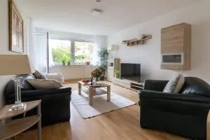 Ferienwohnungen Riese - Sonnenstrahl - 弗赖恩奥尔