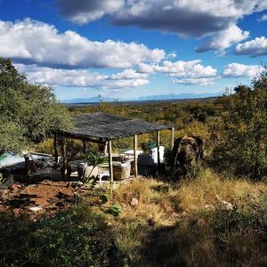 Mbizi Bush Lodge