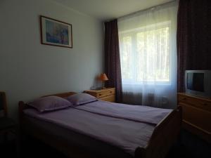 Motel Brencis