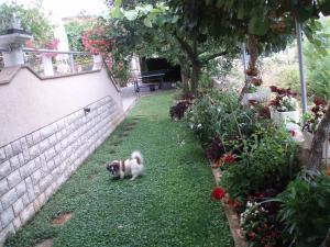 Haus Milan AP 1