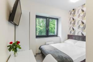 Bema Rooms