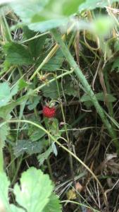 Bio Fattoria Cà dPignat