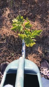 Bio Fattoria Cà dPignat