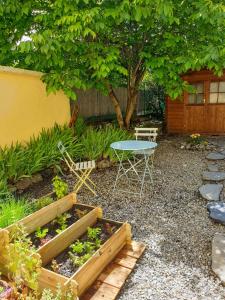 B&B / Chambres d'hotes Gite Les Bartavelles : photos des chambres