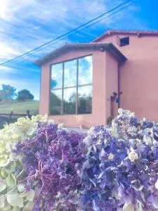 La Tejera - 拉弗兰卡