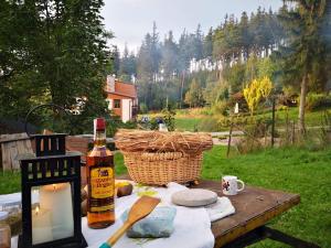 DomTurystyki Rodzinnej " Żabi Dołek "