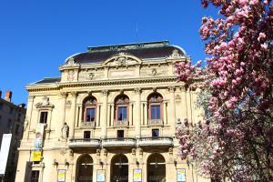 Hotels Hotel des Celestins : photos des chambres