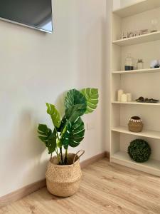 Apartamento El Malecón