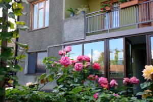 Bucha`s Guest House & Wine Cellar