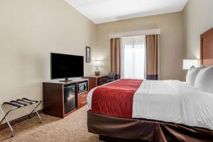King Room with Roll-In Shower - Accessible/Non-Smoking room in Comfort Inn & Suites Marianna I-10