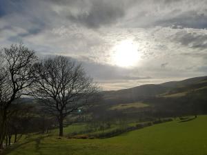 Cae Mawr Yurt Off-Grid Glamping