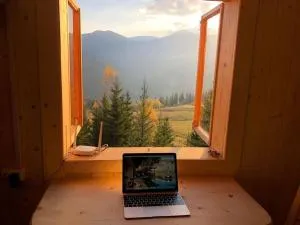 Дзен Хата - Zelena