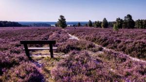 Hotel Villa Schneverdingen