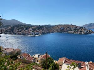 Thodoris Infinity View Apartments Symi Greece