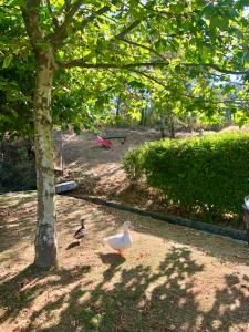 Casa da Quinta da Prelada Simão partie basse