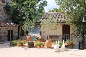 Agriturismo Selvella