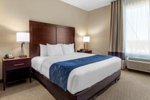 King Suite - Disability Access/Non-Smoking room in Comfort Suites Waco Near University Area