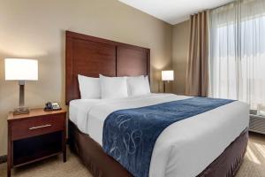 Room #49189905 room in Comfort Suites Waco Near University Area