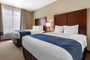 Queen Suite with Two Queen Beds - Non-Smoking room in Comfort Suites Waco Near University Area