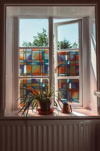 Studio Apartment room in Penygelli Apartments