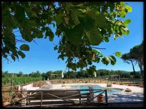 MARISMA - Terminuzzo