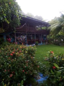 Luminosa Montezuma Hostel