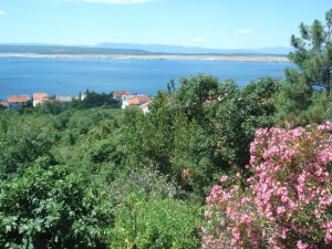 Apartmani E&G 