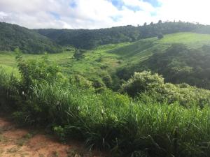 Chalé com Vista Privilegiada